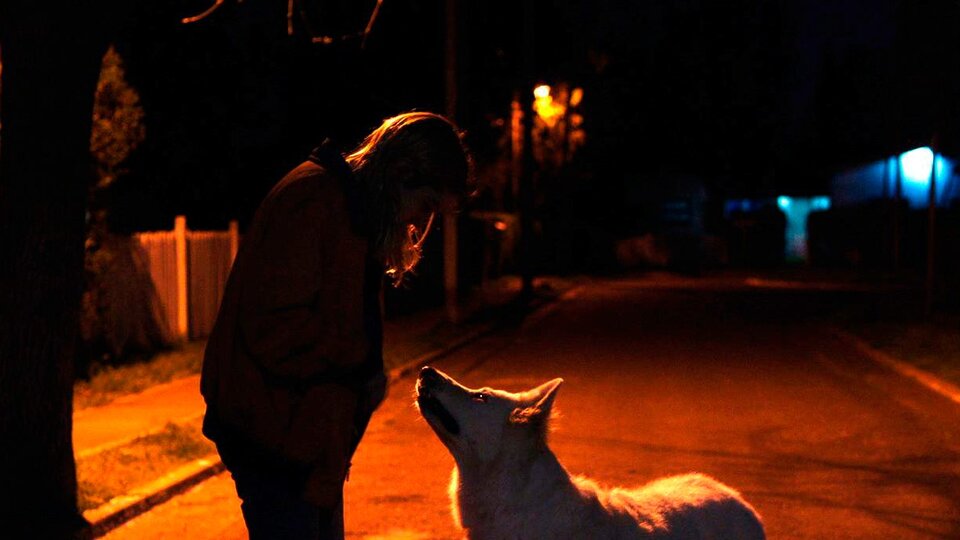 UN VIAJE POR "LA NOCHE SON DE LOS MONSTRUOS"