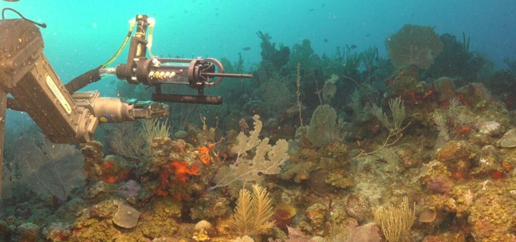 CIENTÍFICOS DE LA UNLP EXPLORARÁN LAS PROFUNDIDADES DEL MAR ARGENTINO
