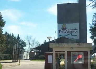 DENUNCIAN MÁS 480 DESPIDOS EN LA PLANTA DE CONCEPCIÓN DEL URUGUAY