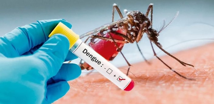 EL DENGUE Y SU RELACIÓN CON EL CAMBIO CLIMÁTICO