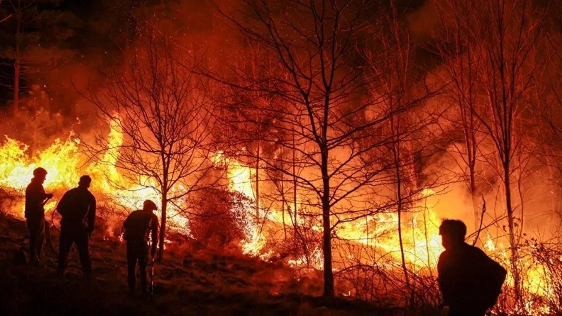 BRIGADISTAS DESTACARON LA MOVILIZACIÓN CONTRA LA EXTRANJERIZACIÓN DE LA TIERRA