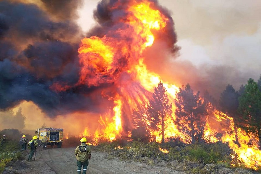 OTRA GRAN MUESTRA DE SOLIDARIDAD ANTE LOS INCENDIOS DE LA PATAGONIA